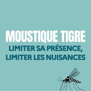 Moustique tigre