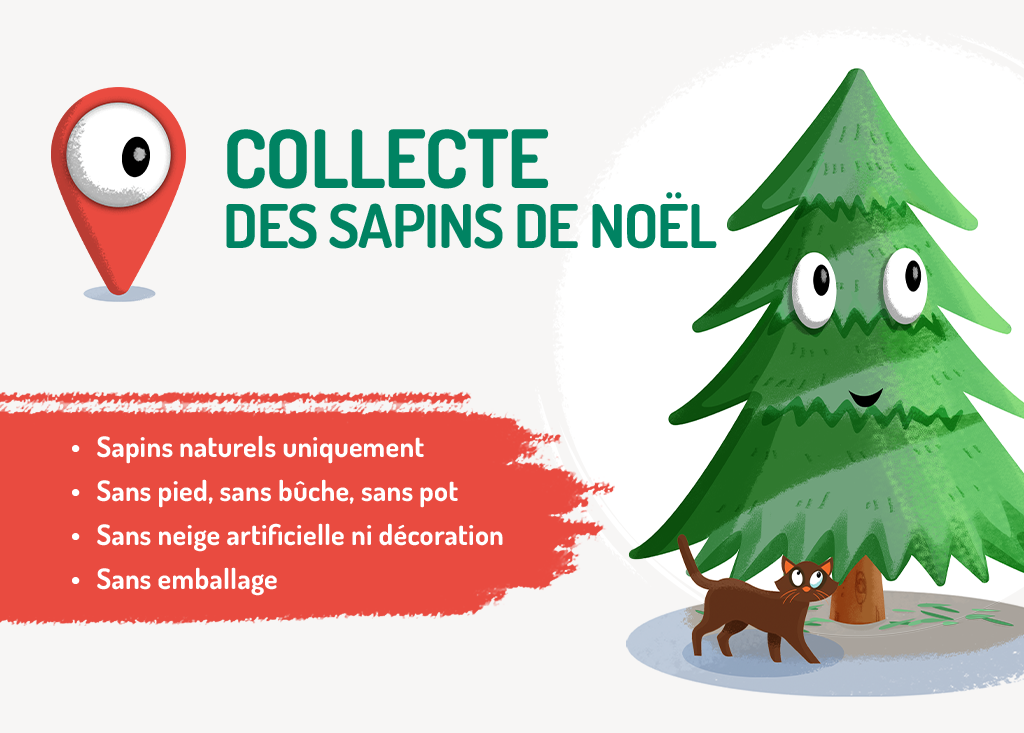 Collecte des sapins